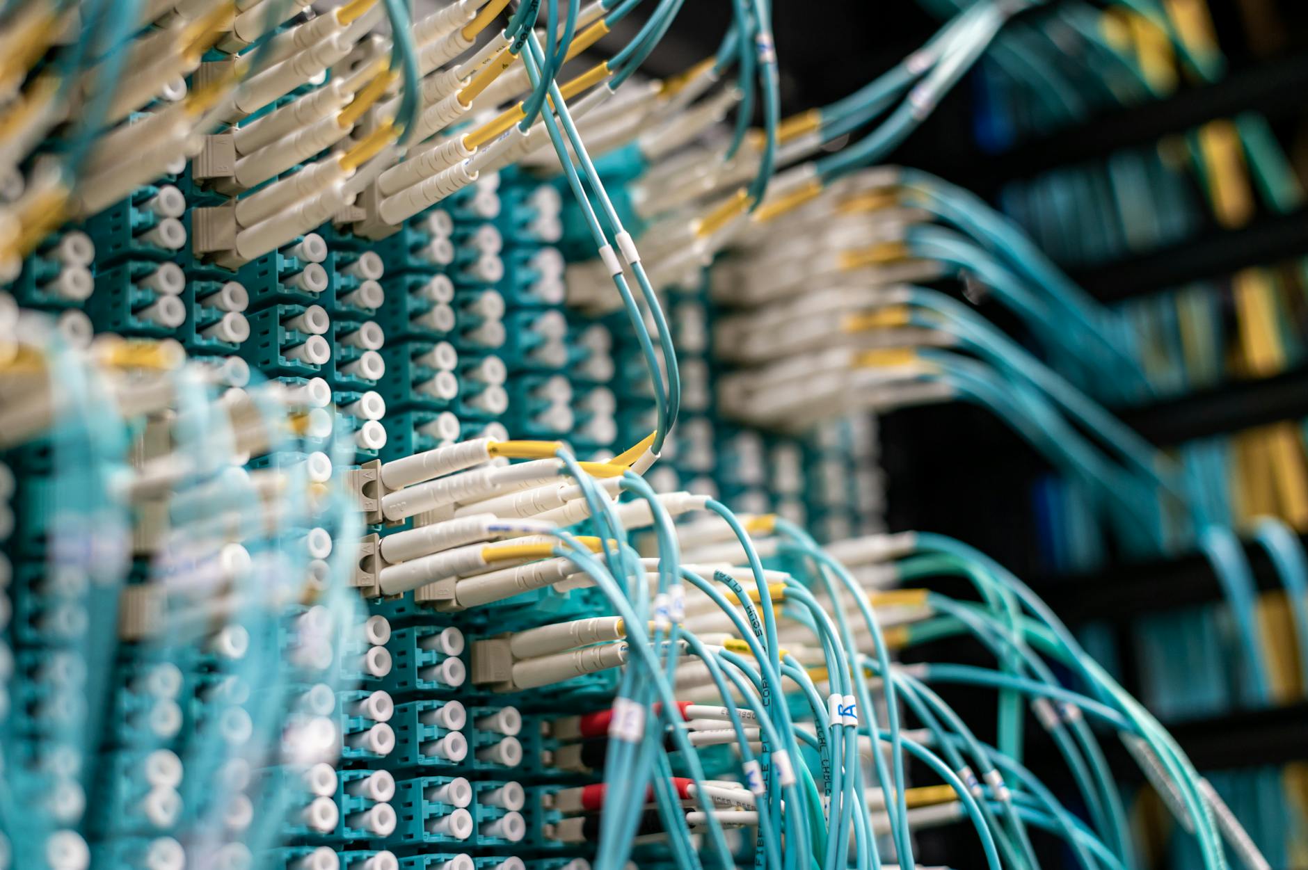 patch cables plugged in patch panel